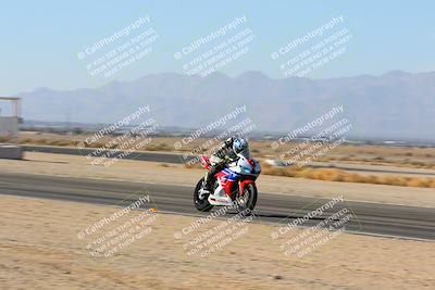 media/Jan-14-2024-SoCal Trackdays (Sun) [[2e55ec21a6]]/Back Straight Speed Pans (1145am)/